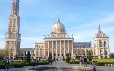 Ogłoszenia 19 października