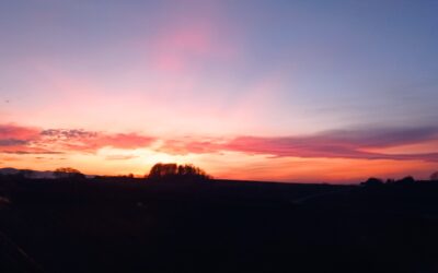 Intencje 2-9 listopada