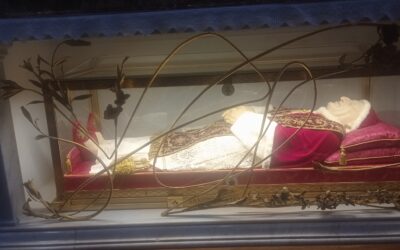 Intencje 16-23 listopada