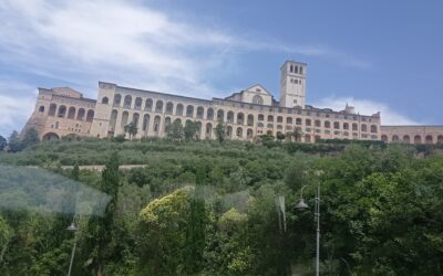 Ogłoszenia 16 listopada